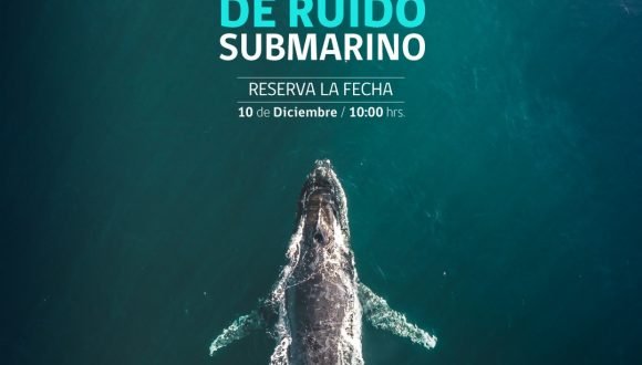 I Seminario de ruido submarino I Seminario de ruido submarino