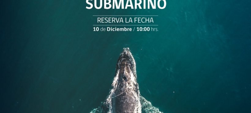I Seminario de ruido submarino