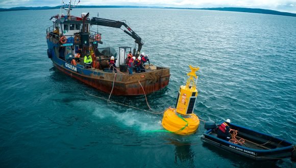 [La Estrella] Boya “inteligente” permitirá alertar de presencia de ballenas