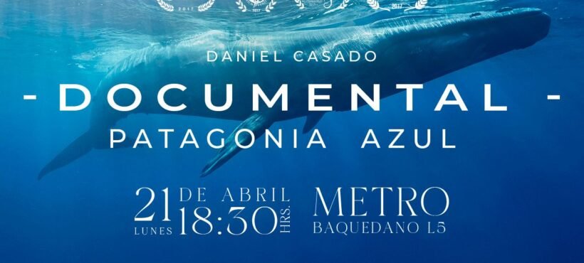 Te invitamos a ver «Patagonia Azul, la interconexión de la vida» en una presentación especial junto a su realizador, Daniel Casado