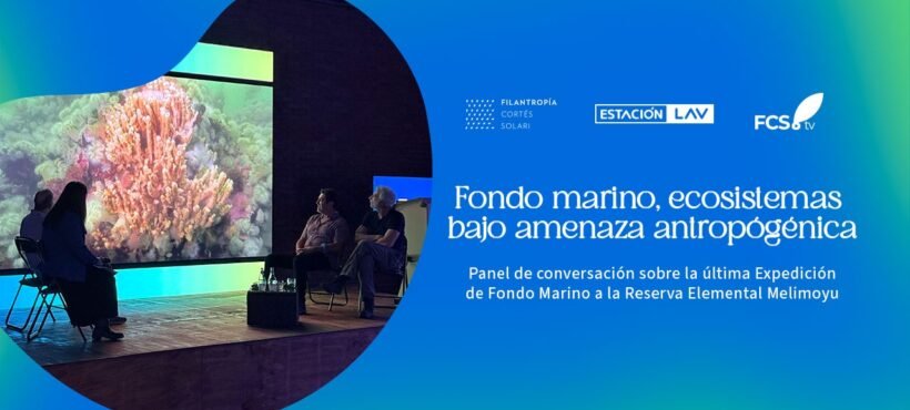 [Infogate] Con documentales y paneles, Fundación MERI  lleva la vida de los océanos al Metro