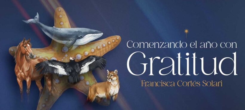 ✨ Un mensaje para comenzar el año con gratitud y sentido ✨