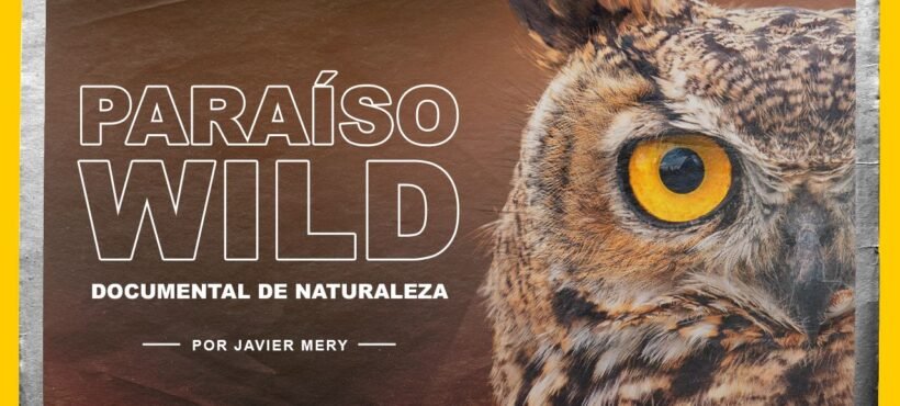 Paraíso Wild: La aclamada serie documental chilena, creada y dirigida por el fotógrafo Javier Mery llega a fcs.tv Paraíso Wild: La aclamada serie documental chilena, creada y dirigida por el fotógrafo Javier Mery llega a fcs.tv